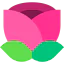 Flower icon 64x64