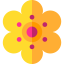 Flower icon 64x64