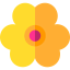 Flower icon 64x64