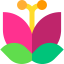 Flower icon 64x64