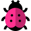 Ladybug icon 64x64
