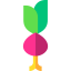Bud icon 64x64