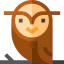 Owl icon 64x64