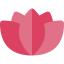 Lotus icon 64x64