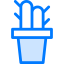 Cactus icon 64x64