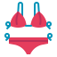 Bikini icon 64x64