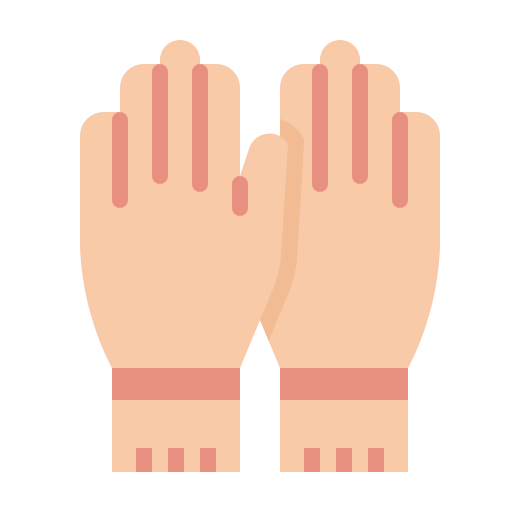Gloves icon