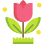 Tulip icon 64x64