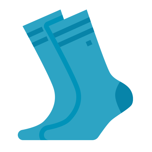 Socks icon