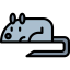 Mouse icon 64x64
