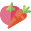 Vegetables icon 64x64