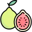 Guava icon 64x64