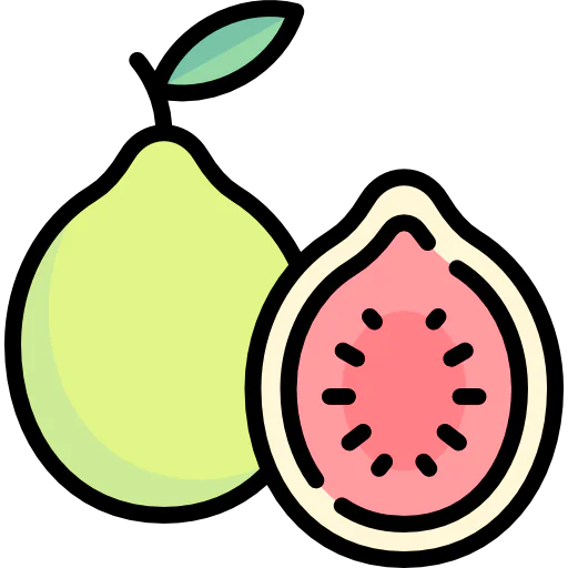 Guava icon