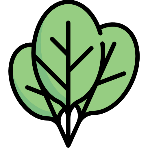 Spinach icon
