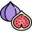 Fig icon 64x64