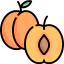Apricot icon 64x64