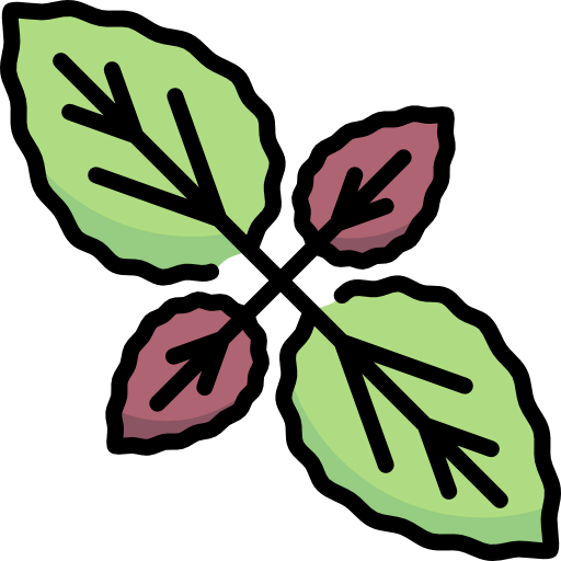 Basil icon