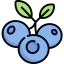 Blueberry icon 64x64