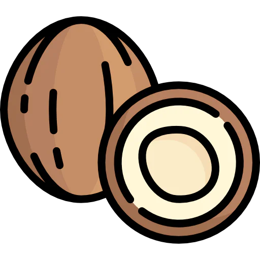 Coconut icon