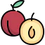 Plum icon 64x64
