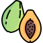 Papaya icon 64x64