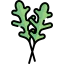 Arugula icon 64x64