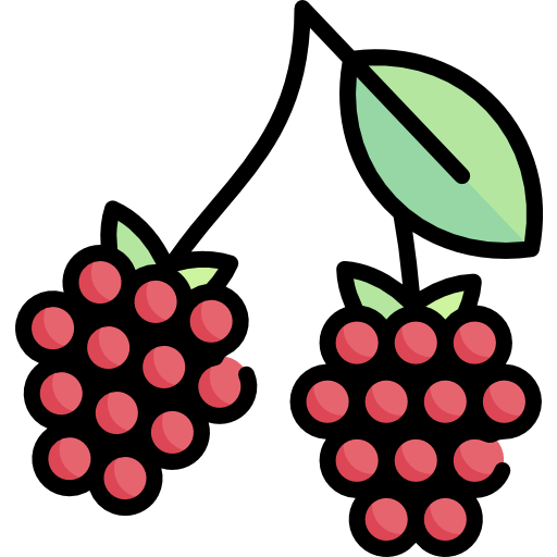 Raspberry icon