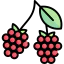 Raspberry icon 64x64