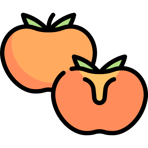 Persimmon icon