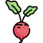Beet icon 64x64