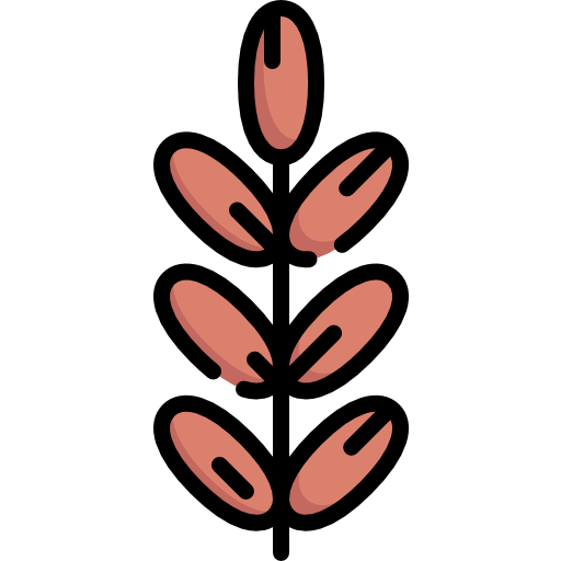Date icon
