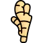 Ginger icon 64x64