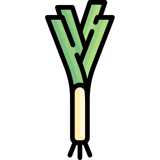 Leek icon