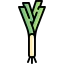 Leek icon 64x64