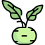 Kohlrabi icon 64x64