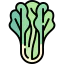 Lettuce icon 64x64