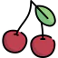 Cherry icon 64x64