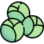 Brussels sprouts icon 64x64
