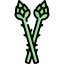Asparagus icon 64x64
