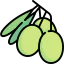 Olives icon 64x64