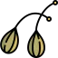 Caper アイコン 64x64