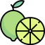 Lime icon 64x64