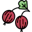 Gooseberry icon 64x64