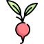 Radish icon 64x64