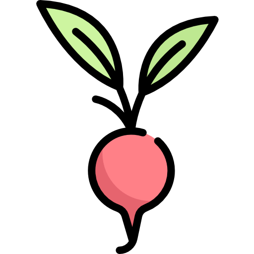 Radish icon
