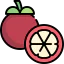 Mangosteen icon 64x64