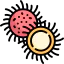 Rambutan icon 64x64
