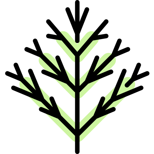 Dill icon