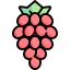 Grapes icon 64x64
