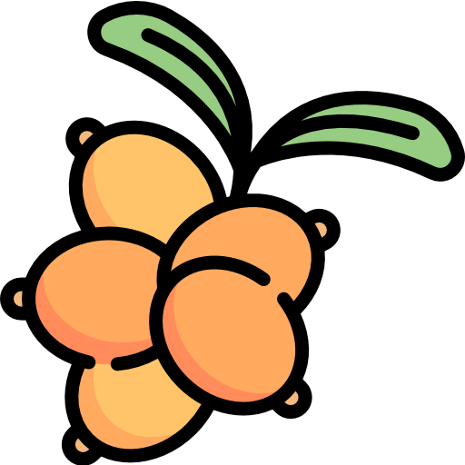 Berries icon